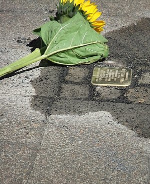 Stolperstein__D._Schulze.jpg 